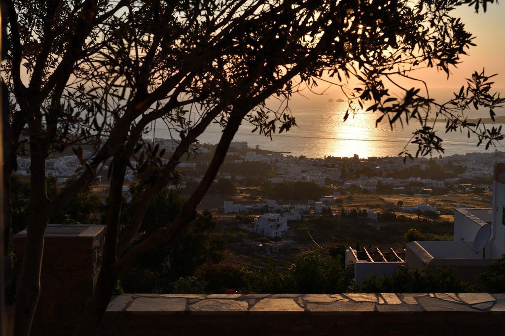 Olive Tree House In Parikia Villa Парос Екстериор снимка